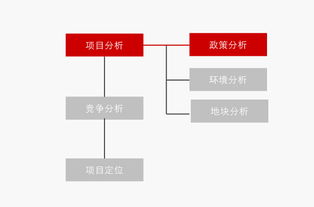 舊城改造高端房地產項目產品定位 215頁